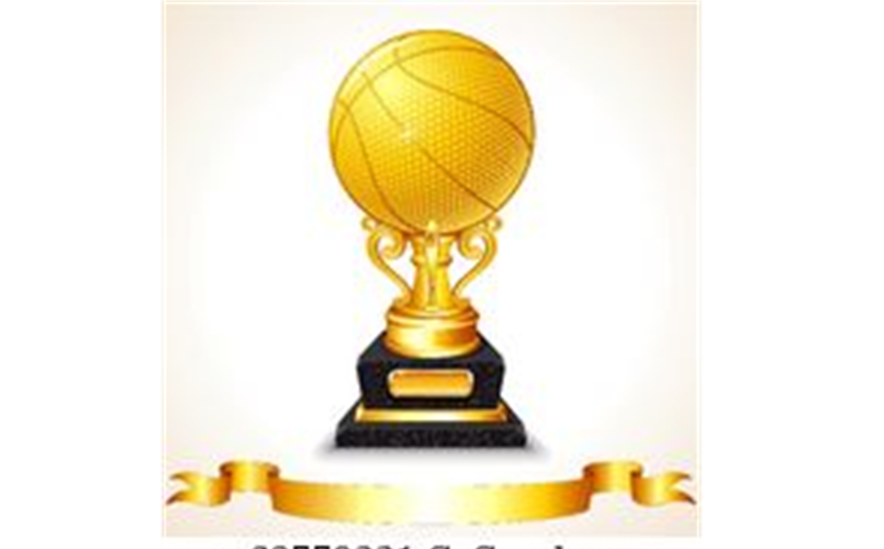 Pee Wee Champions Knicks